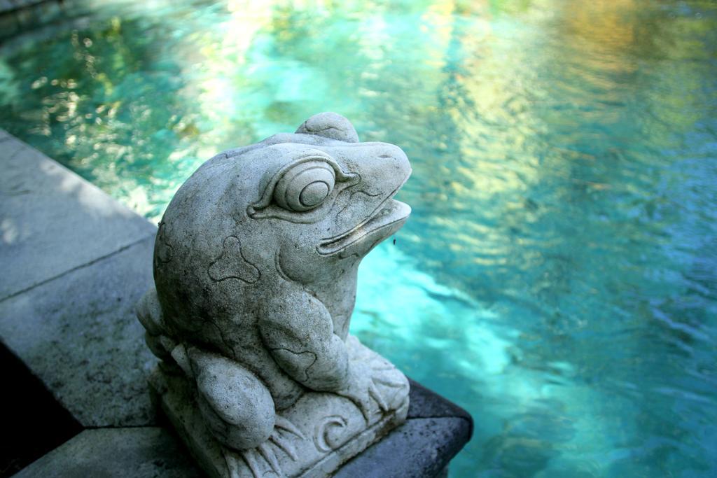 Mayana Villas Canggu Eksteriør bilde